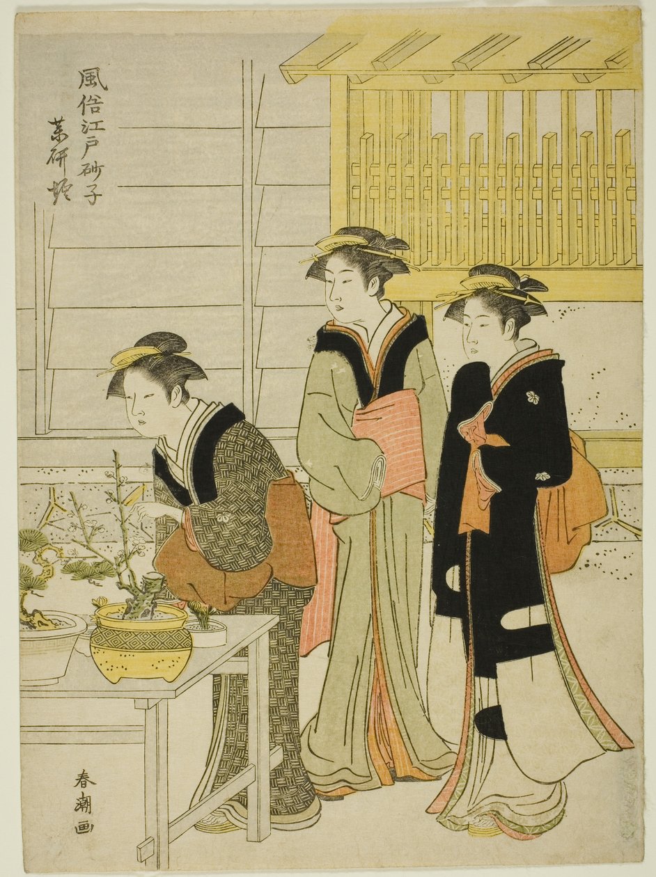 Yakukenbori, teserie
