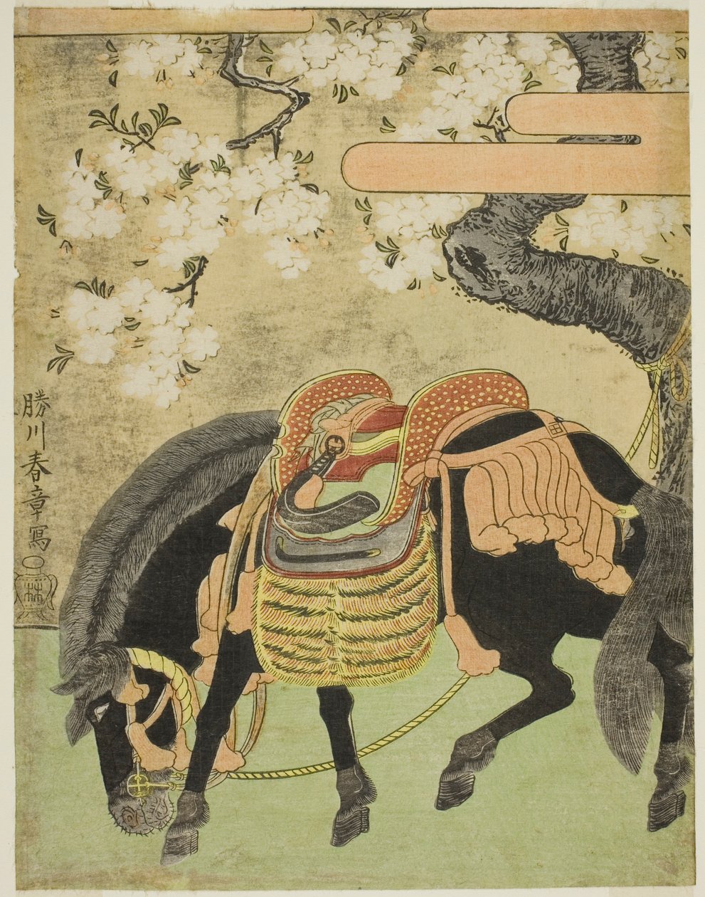 Çiçek Açan Kiraz Ağacının Altına Bağlanmış Kara At by Katsukawa Shunsho