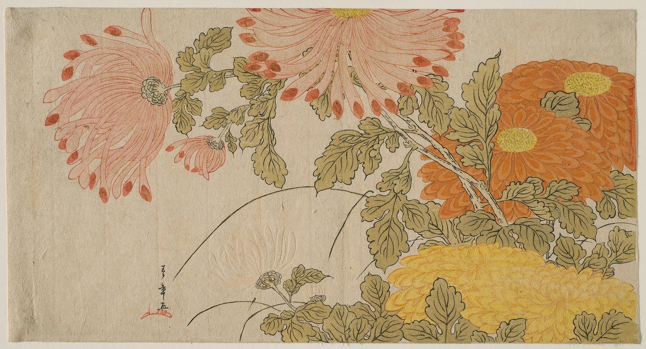 Krizantemler, c.1780 (renkli tahta baskı; surimono) by Katsukawa Shunsho