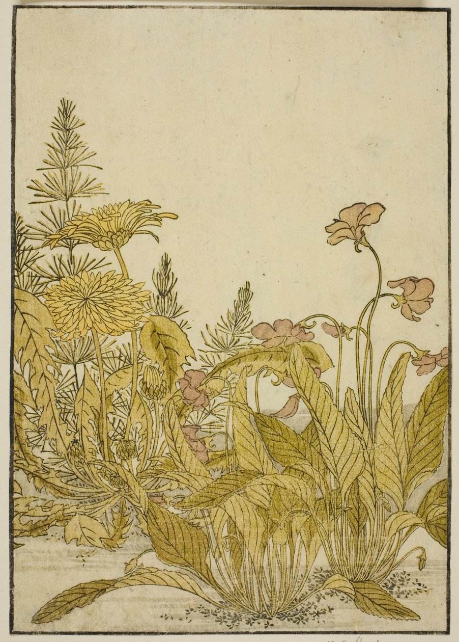 Bahar Çiçekleri: Menekşeler ve Karahindiba, "Zevk Alanlarının Güzel Kadınlarının Aynası (Seiro bijin awase sugata kagami)" kitabından, cilt. 1 by Katsukawa Shunsho