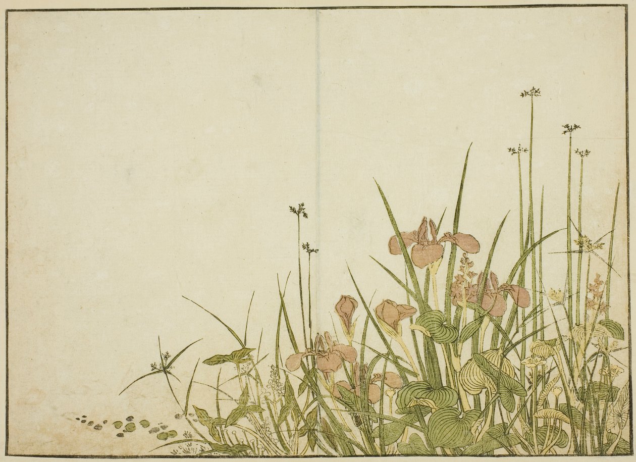 Yaz Çiçekleri: Süsenler ve Su Plantainleri, "Zevk Alanlarının Güzel Kadınlarının Aynası (Seiro bijin awase sugata kagami)" kitabından, cilt. 1 by Katsukawa Shunsho