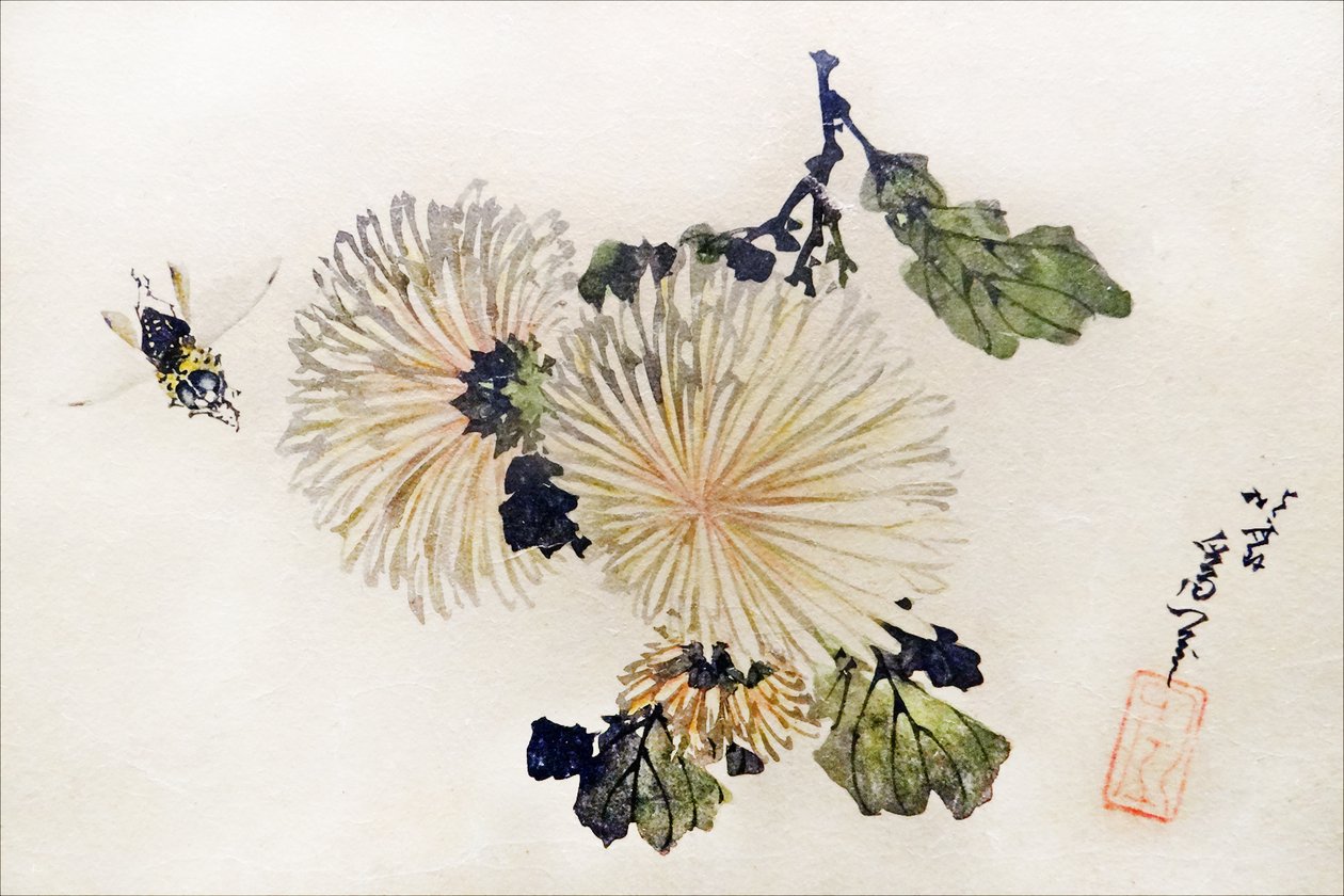 Kasımpatı Sanat Eseri by Katsushika Hokusai