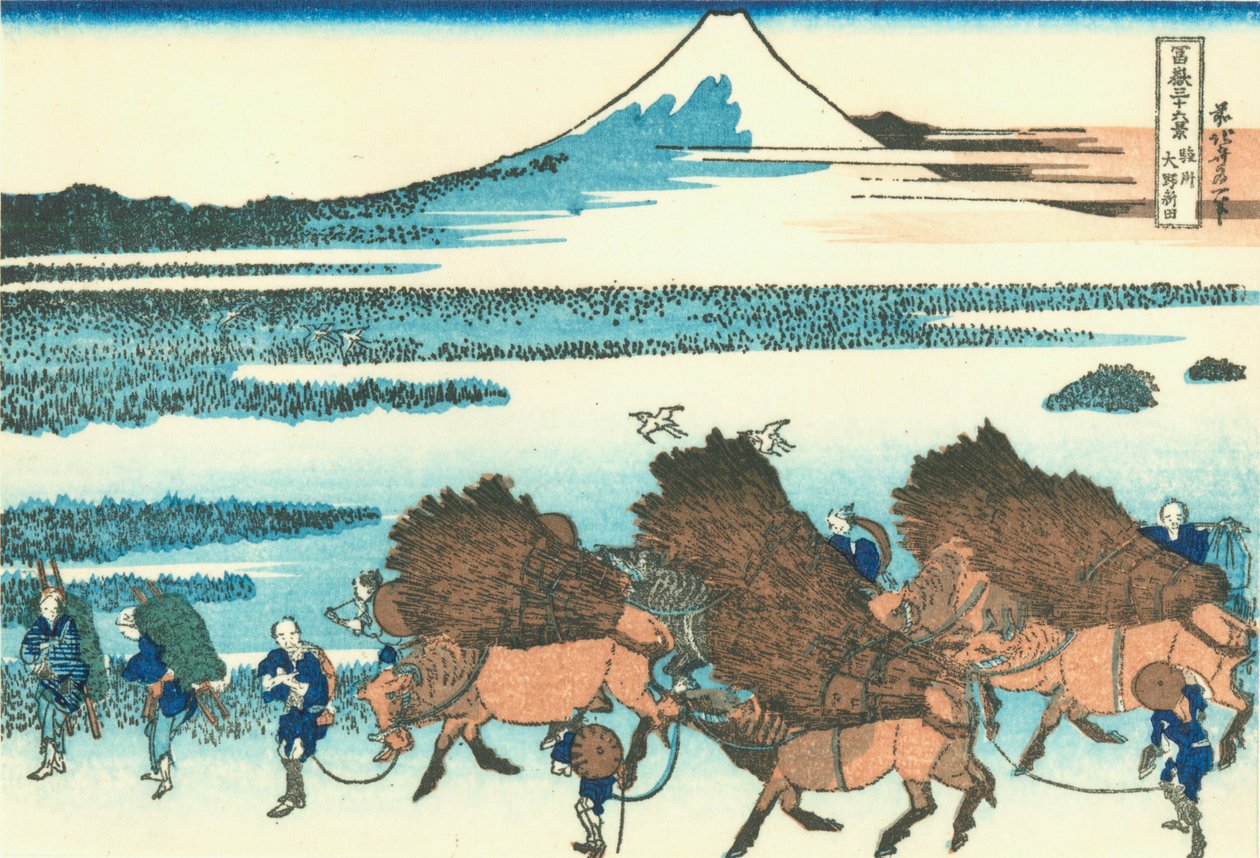 Suruga Eyaleti, Ono