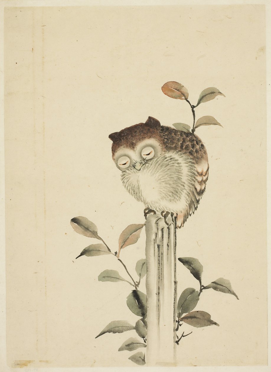 Bir Güdük Üzerinde Uyuyan Baykuş by Katsushika (school of) Hokusai