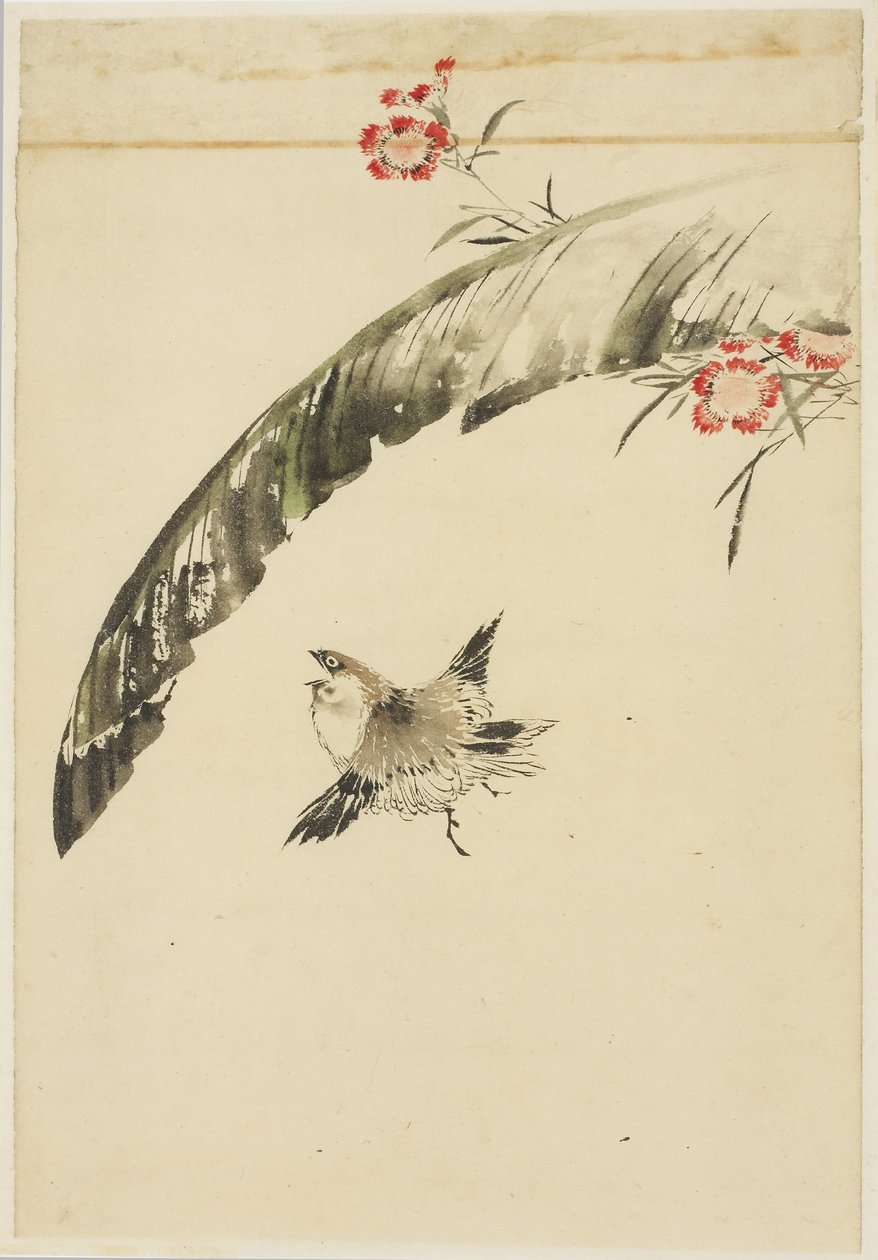 Serçe ve Muz Yaprağı ve Pembeler, 1615-1868 (kağıt üzerinde mürekkep ve renk) by Katsushika (school of) Hokusai
