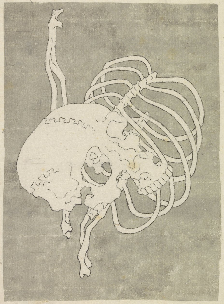 Kafatası ve göğüs kafesi by Katsushika Hokusai (possibly)