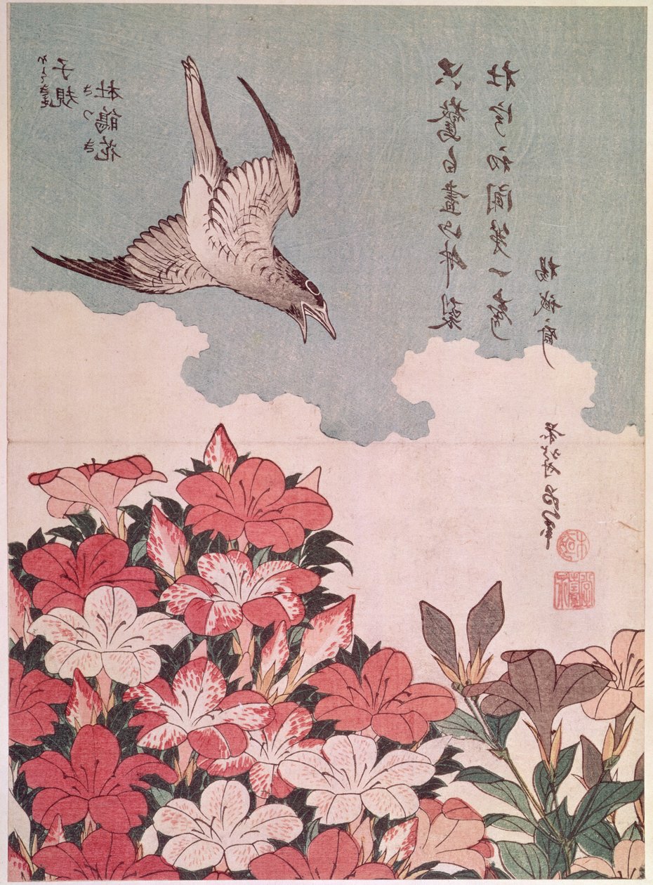 Açelyalar ve guguk kuşu, Eijudo tarafından yayınlandı, c.1830 (renkli tahta baskı) by Katsushika Hokusai