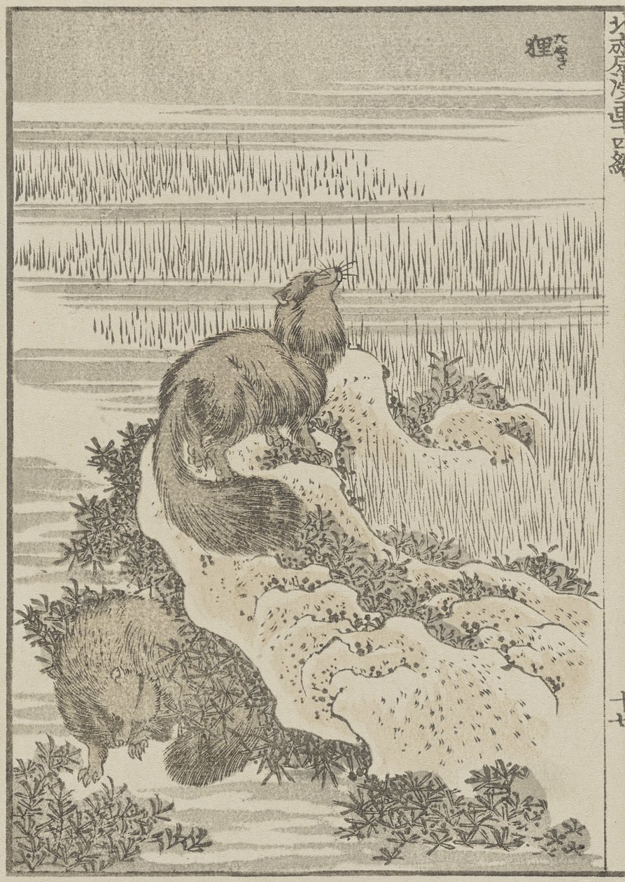 Porsuk, c. 1840 (tahta baskı) by Katsushika Hokusai