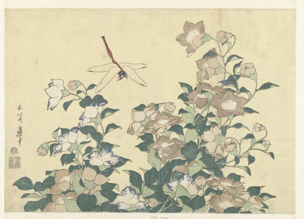 Balon zili ve yusufçuk by Katsushika Hokusai