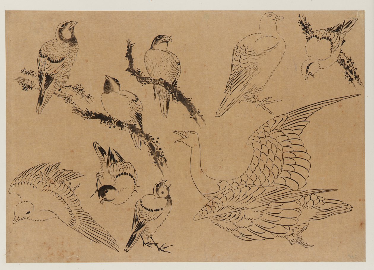 Kuşlar, Edo dönemi, 18. yüzyılın sonu - 19. yüzyılın başı. by Katsushika Hokusai