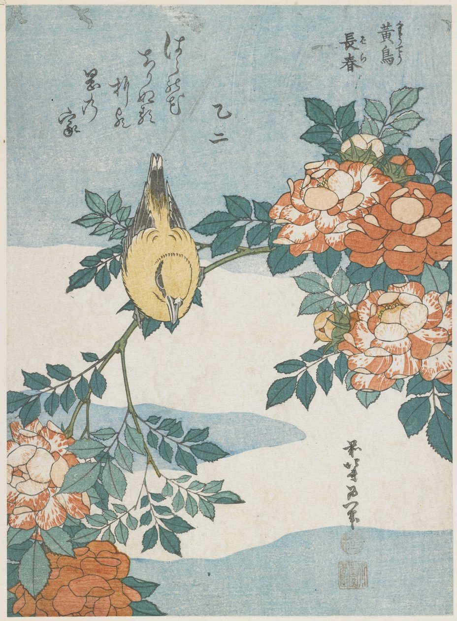 Siyah Naped Oriole ve China Rose, c. 1833 by Katsushika Hokusai