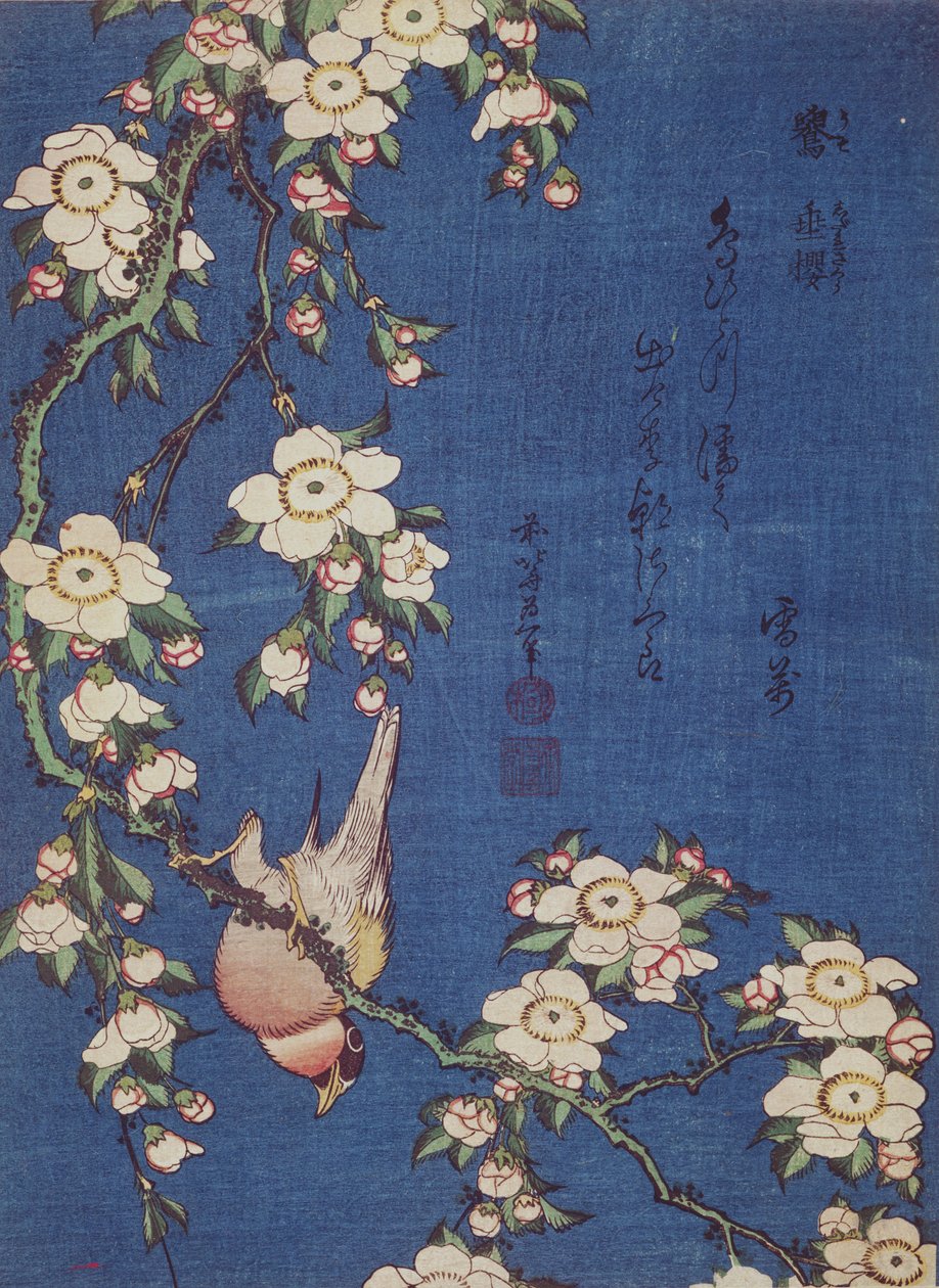 Şakrak kuşu ve ağlayan kiraz ağacı, bar. c.1834 (renkli tahta baskı) by Katsushika Hokusai