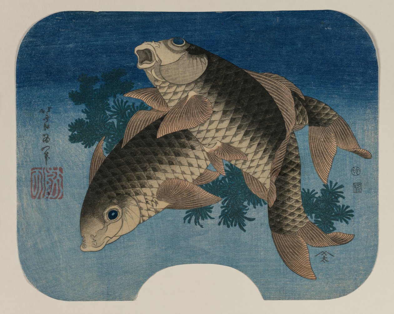 Su Otlarıyla Yüzen Sazan by Katsushika Hokusai