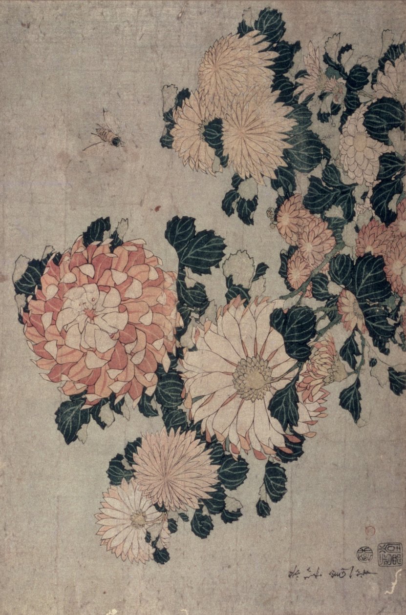 Krizantem (renkli tahta blok) by Katsushika Hokusai