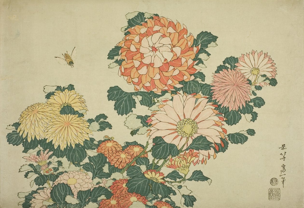Kasımpatı ve Arı, İsimsiz Büyük Çiçekler serisinden, c.1833-34 by Katsushika Hokusai