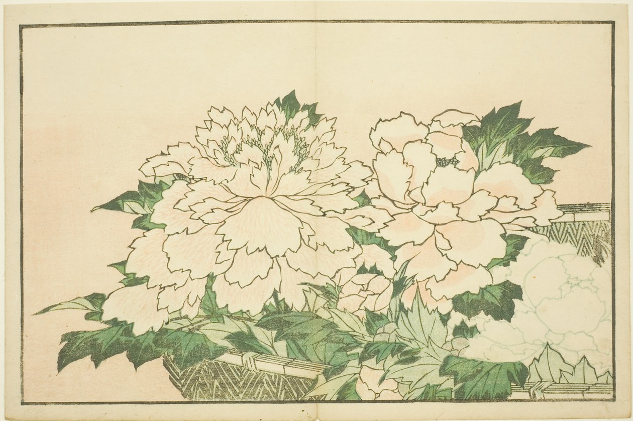 Hokusai'nin Gerçekçi Tablolarının Resimli Kitabından Sepetteki Krizantemler (Hokusai shashin gafu) by Katsushika Hokusai