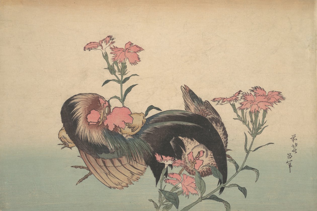 Horoz, Tavuk ve Nadeshiko Dianthus Superbus. by Katsushika Hokusai