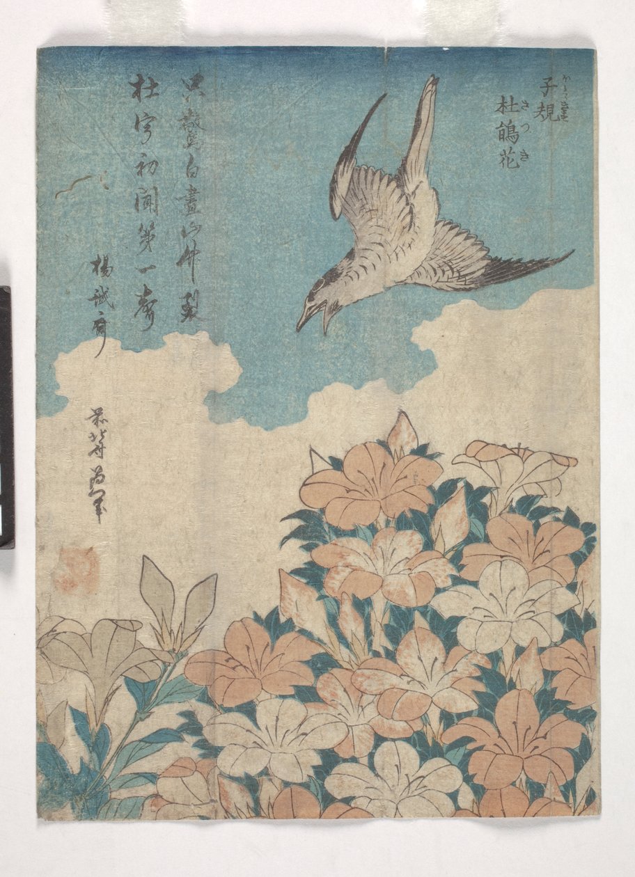 Guguk kuşu ve Açelya (renkli gravür) by Katsushika Hokusai