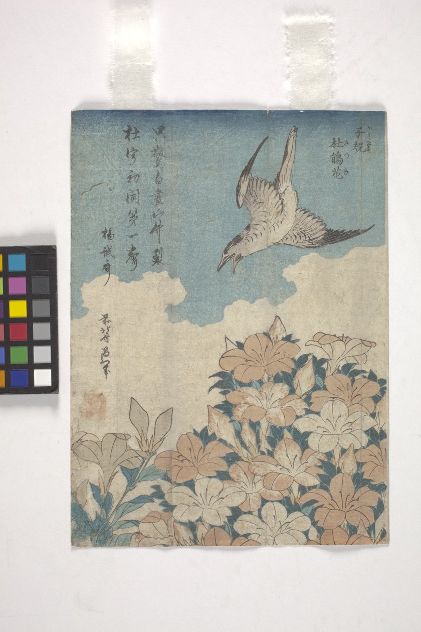 Guguk kuşu ve Açelya (renkli gravür) by Katsushika Hokusai