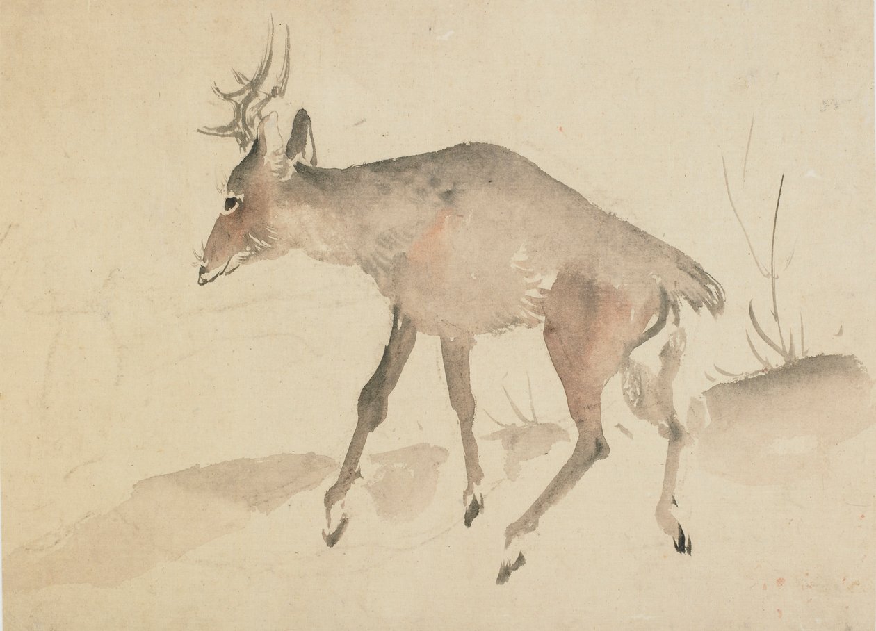 Geyik, 18. yüzyılın sonu ve 19. yüzyılın başı. by Katsushika Hokusai
