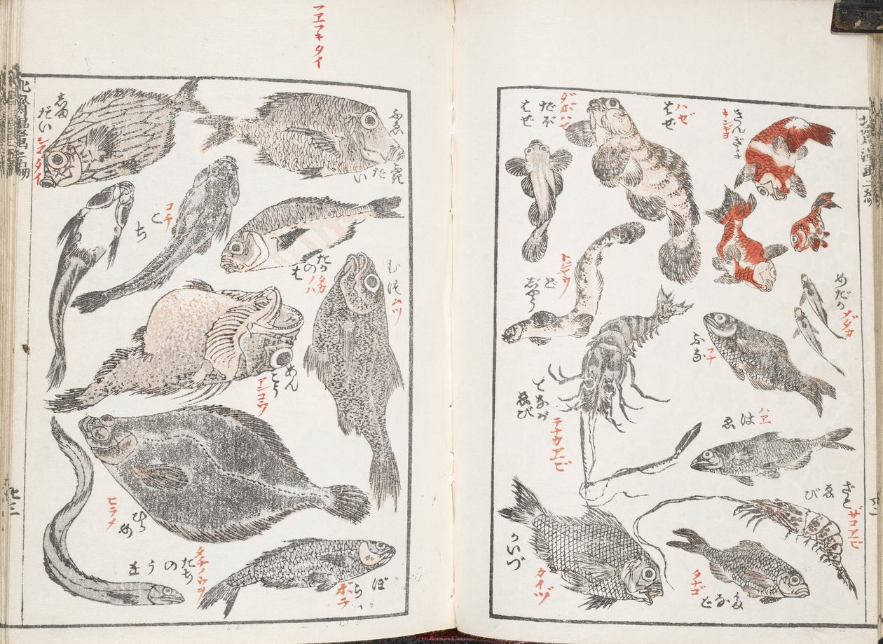 Balık ve deniz canlıları by Katsushika Hokusai