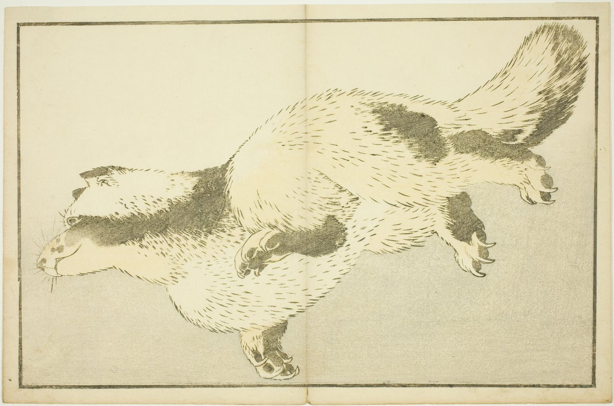 Fox, Hokusai'nin Gerçekçi Resimlerinin Resimli Kitabından (Hokusai shashin gafu) by Katsushika Hokusai