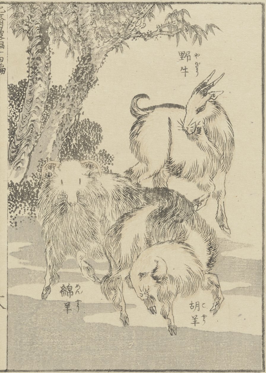 Keçiler, ç. 1840 (tahta baskı) by Katsushika Hokusai