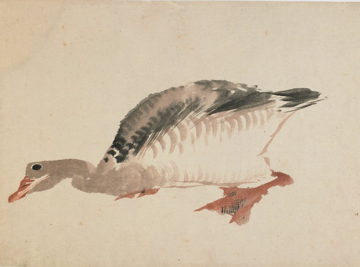 Kaz, 18. yüzyılın sonu ve 19. yüzyılın başı. by Katsushika Hokusai