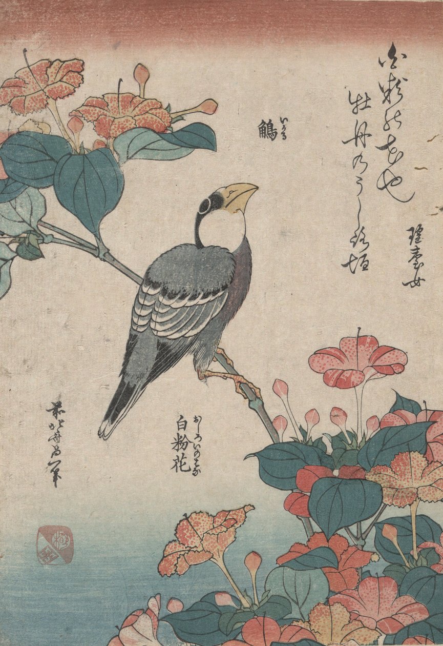 Küçük Çiçekler adlı isimsiz bir diziden Mirabilis üzerinde Grosbeak by Katsushika Hokusai