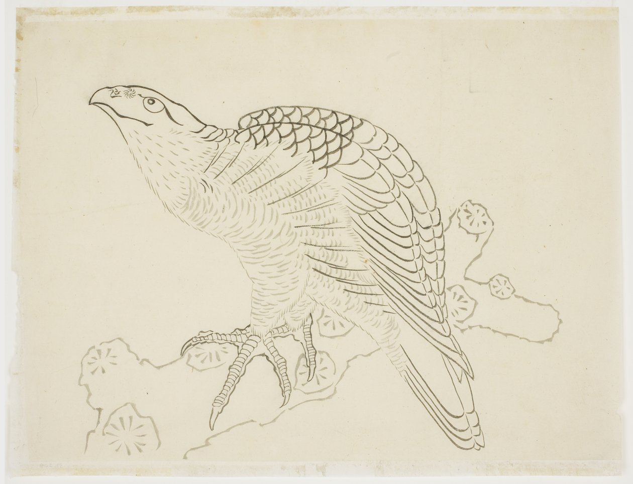 Daldaki Şahin (çalışma) by Katsushika Hokusai