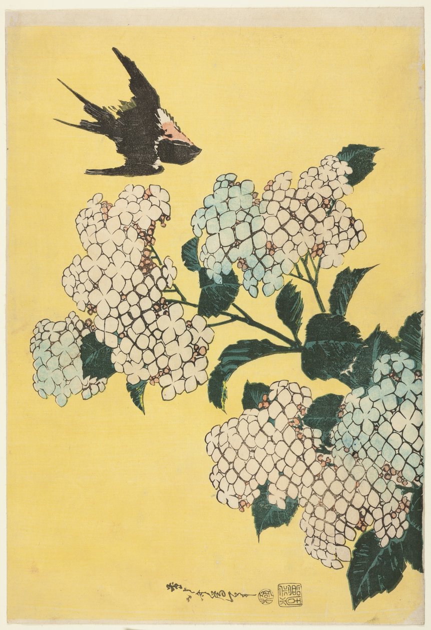 Ortanca ve Kırlangıç, isimsiz bir dizi büyük çiçekten by Katsushika Hokusai
