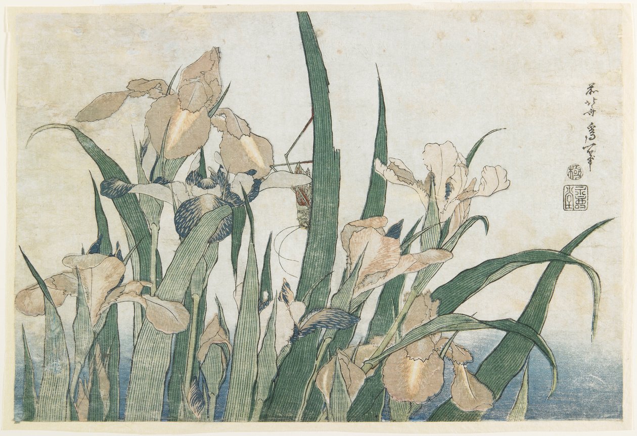 İris Çiçekleri ve Çekirge, c.1830-31 (renkli tahta baskı) by Katsushika Hokusai