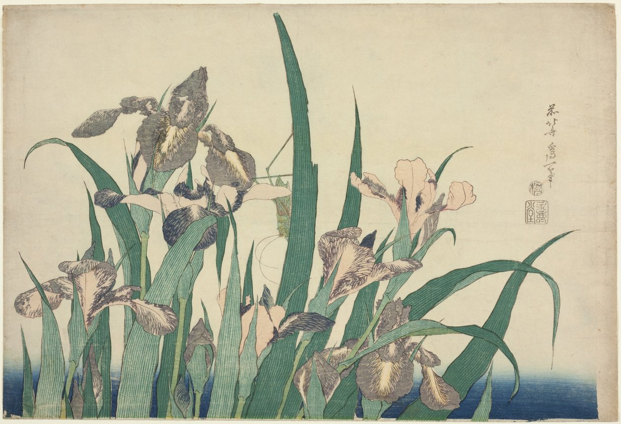 İris ve Çekirge, isimsiz bir dizi büyük çiçekten by Katsushika Hokusai