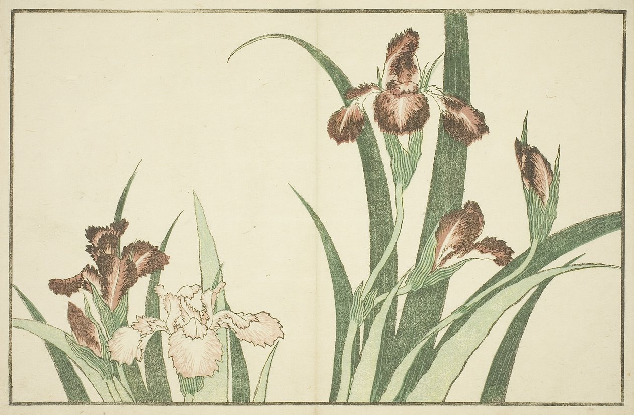 Hokusai
