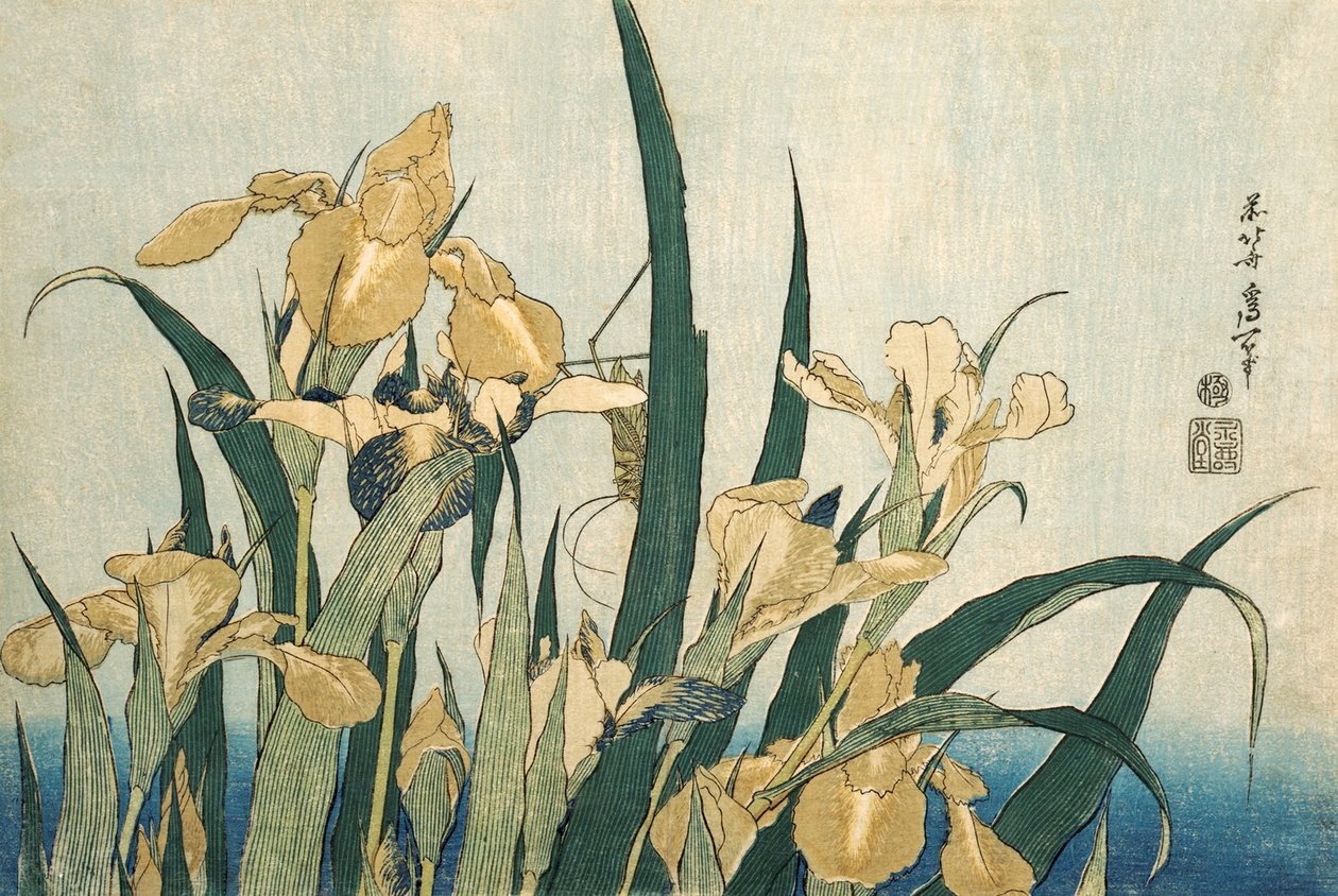 Çekirgeli Süsen, pub.1830 by Katsushika Hokusai