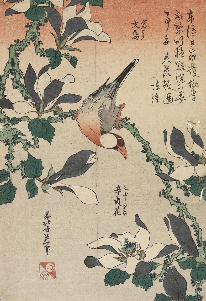 Java Serçesi ve Manolya, c. 1832 by Katsushika Hokusai