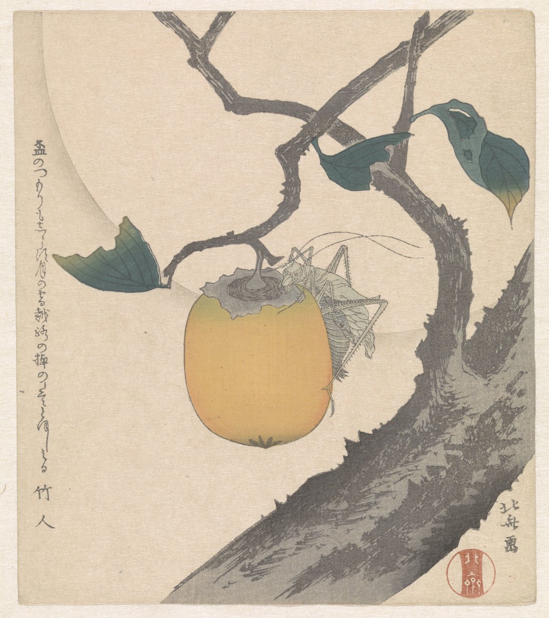 Çekirge ile Kaki meyve by Katsushika Hokusai