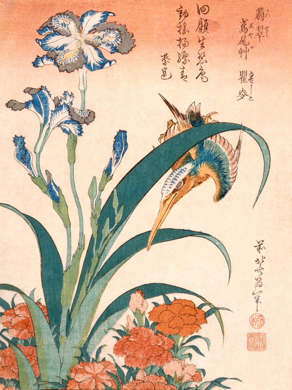 Kingfisher, İrisler ve Pembeler, c1834