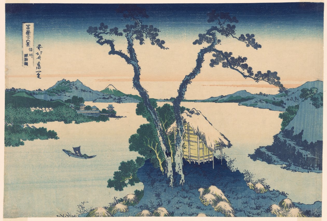 Bir saç Suwa üyesi Shinano P Rovinse (yeni tür Lake Suwa), "Mr. Tyrty x Vie, Fuji (Tomitake Kasaju Rokukei)