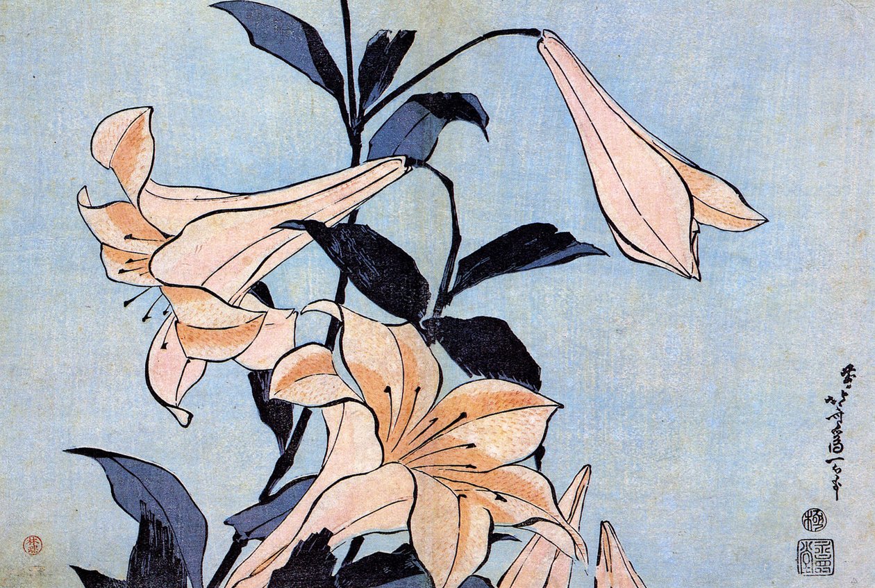 "" Lys "" resimleri ve diğer m-pe Katsushika Hokusai (1760-1894) (Eko-e Ukiyo-resim) Vers 1830 S Tateafu sh Kim no Seum Finne sanatlar, ayrıca okul by Katsushika Hokusai