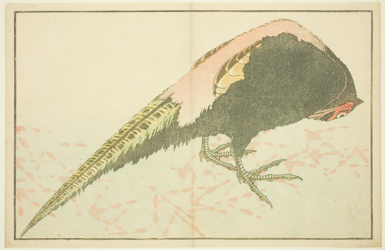 Erkek Sülün, Hokusai