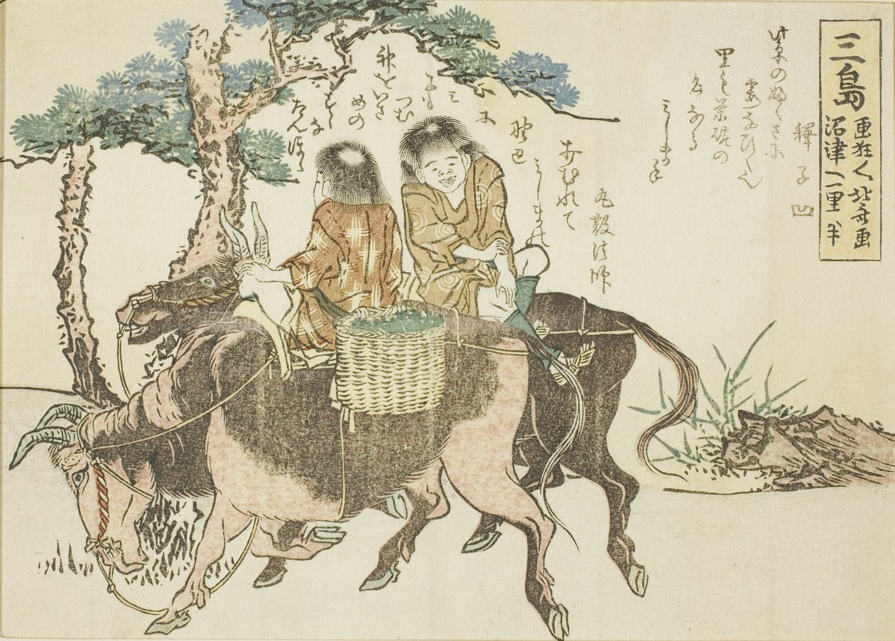Mishima, Tokaido