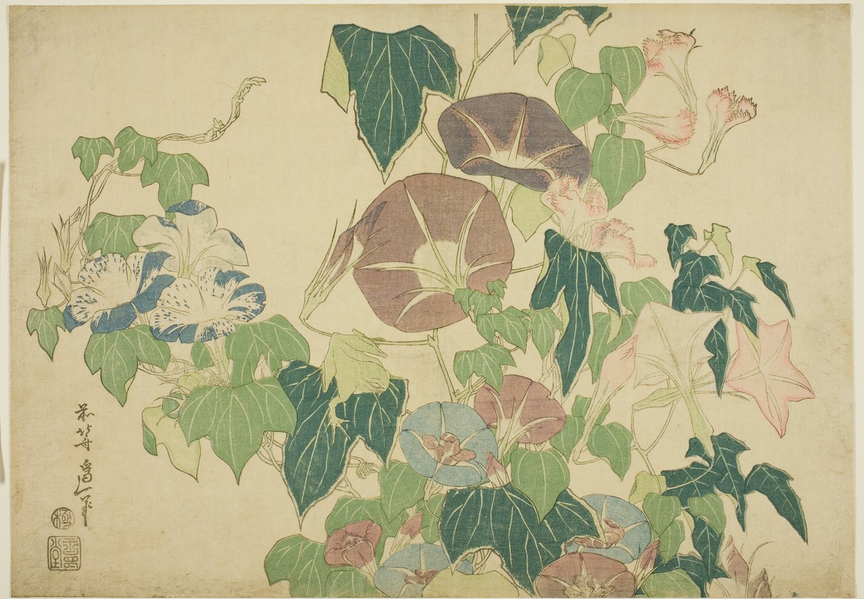 Büyük Çiçekler serisinden Sabah Zaferleri ve Ağaç Kurbağası by Katsushika Hokusai