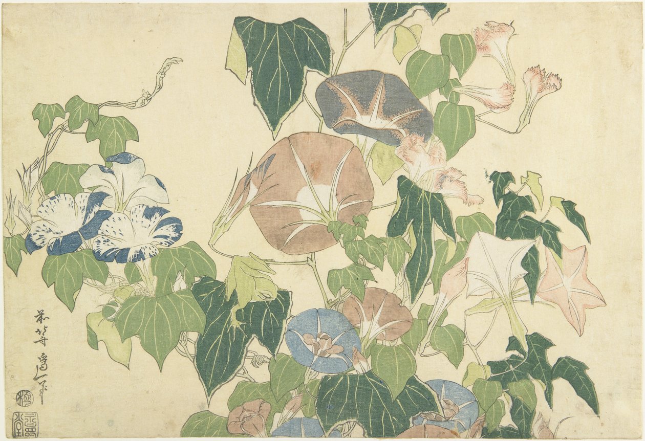 Morning Glories and Tree Frog, from the untitled series known as Large Flowers, c.1833-34 (colour woodblock print) by Katsushika Hokusai