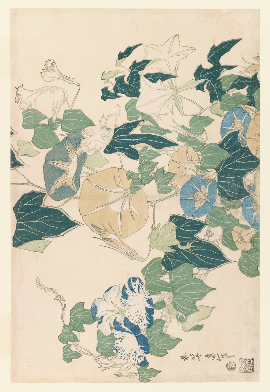 Çiçekler ve Tomurcuklarda Sabah Zaferleri, 1830 dolayları (renkli tahta baskı) by Katsushika Hokusai