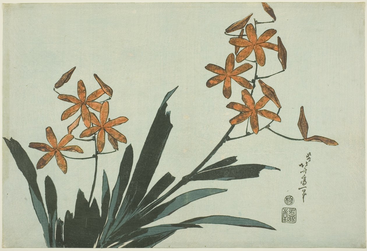 Turuncu Orkideler, isimsiz bir çiçek serisinden by Katsushika Hokusai