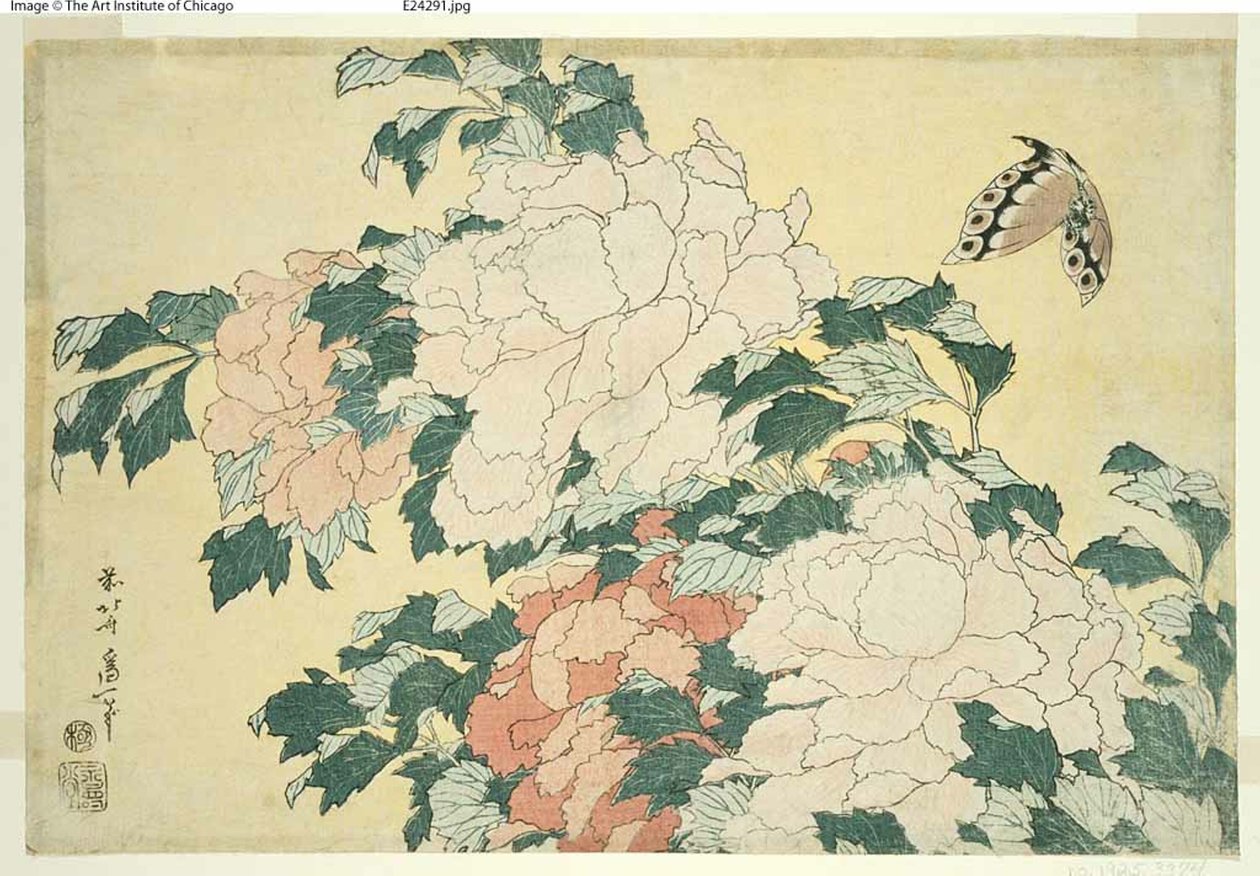 Şakayık ve Kelebek, isimsiz bir dizi büyük çiçekten by Katsushika Hokusai