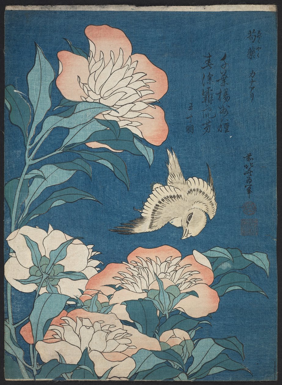Küçük Çiçekler olarak bilinen isimsiz bir diziden Şakayık ve Kanarya (Shakuyaku, kanaari), by Katsushika Hokusai