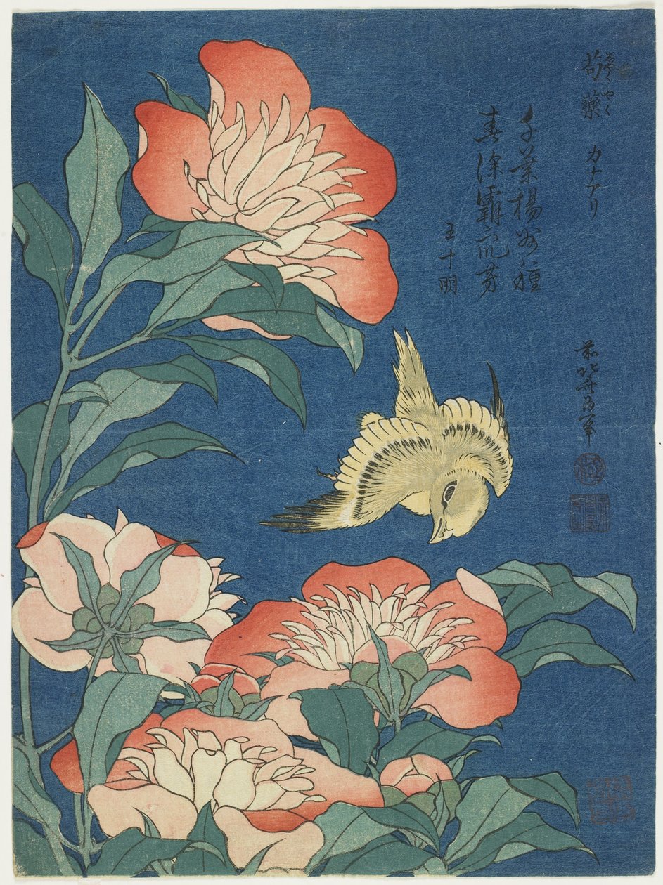 Şakayık ve Kanarya, c. 1833 by Katsushika Hokusai