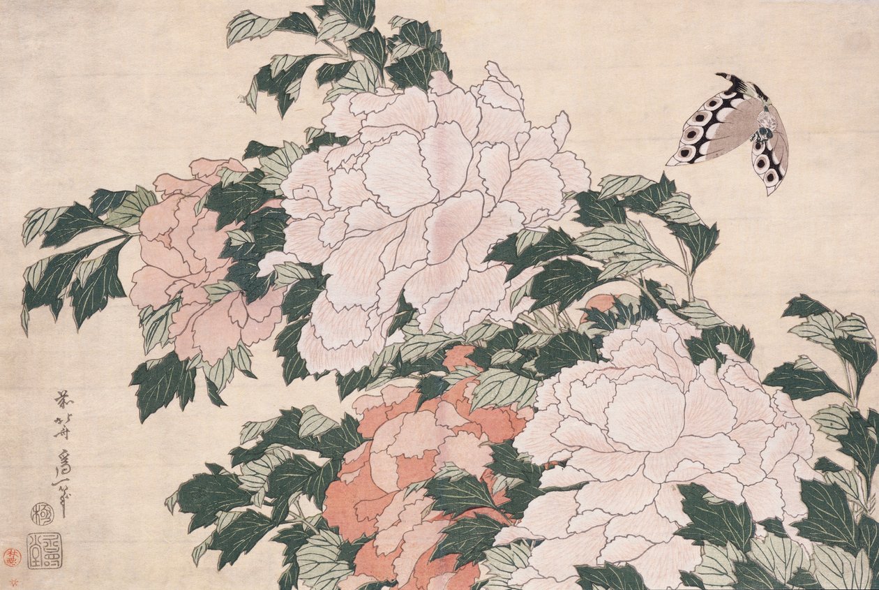 Pembe ve Kırmızı Şakayıklar Bir Esinti ve Bir Kelebekte Sola Eğilmiş by Katsushika Hokusai